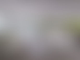 Projeto tornou refúgio à beira mar prático e atemporal