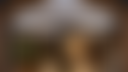 Loja em Monte Verde traduz charme rústico e aposta na experiência sensorial do cliente