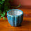 Thumbnail: Ivan Small Succulent Ceramic Planter- Blue
