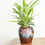 Thumbnail: Greco Urn Planter