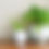 Thumbnail: Tropical Vase Planter