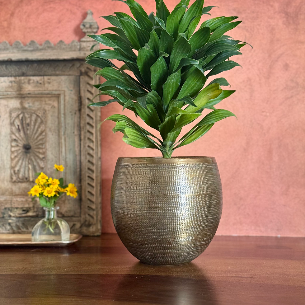 Avani Bronze Planter Medium