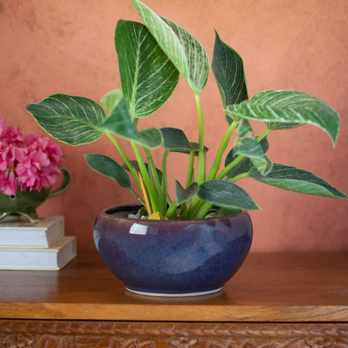 Hugo Ceramic Bonsai Planter Purple