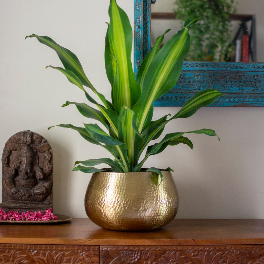 Aatish Gold Hammered Planter | Large