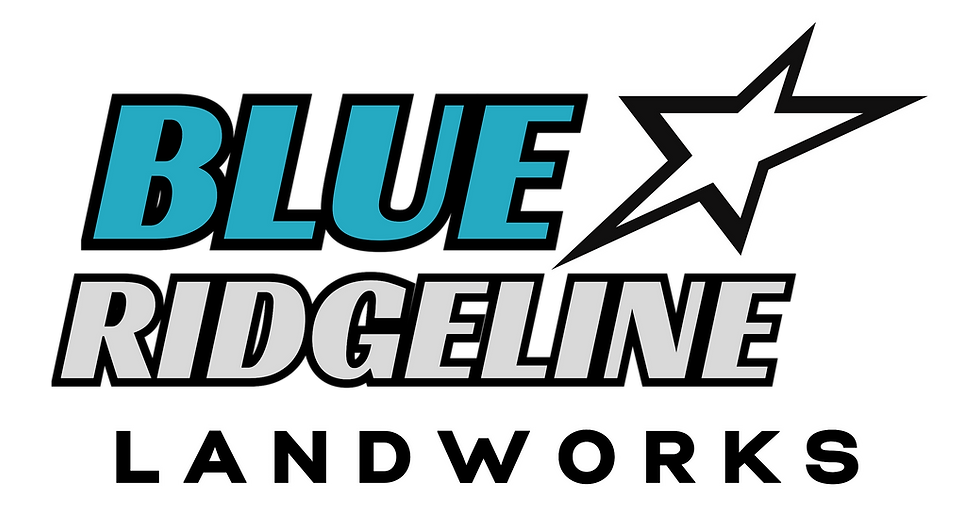 Copy of Blue Ridgeline Final LogosElements-3 copy_edited.png