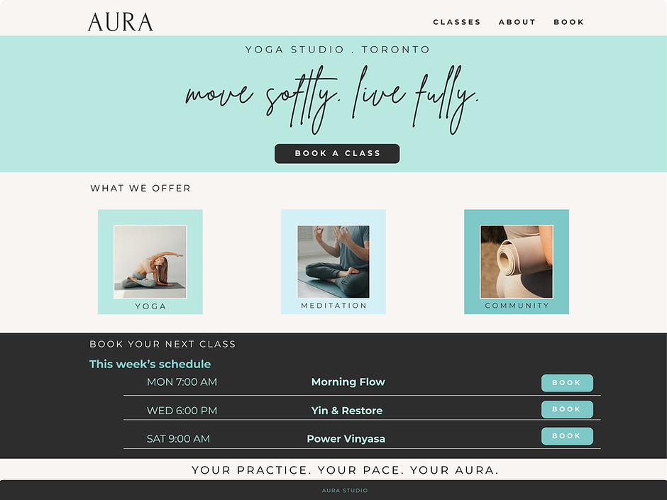Aura website.png