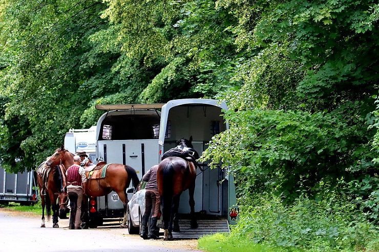 Horse Transport