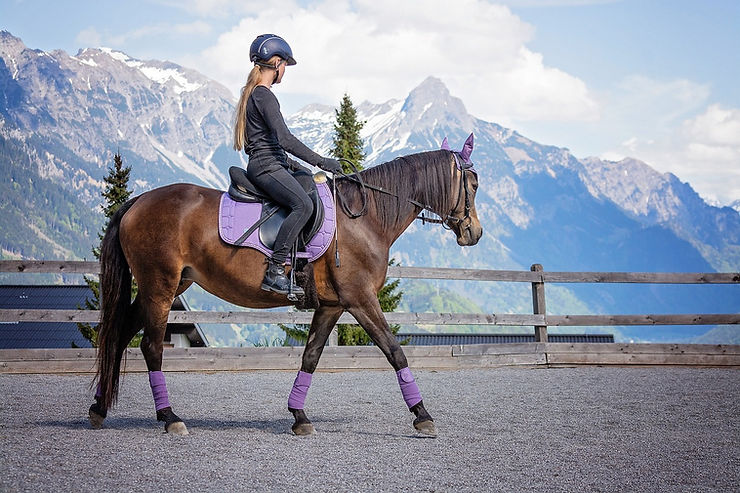 Equine Therapy - Riding