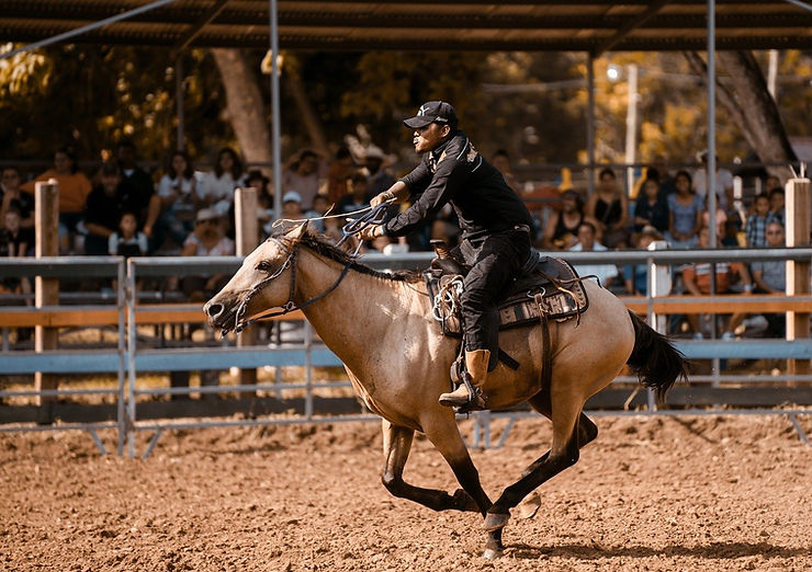 Quarter Horse - Racing