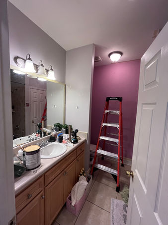 Bathroom Paint Job
