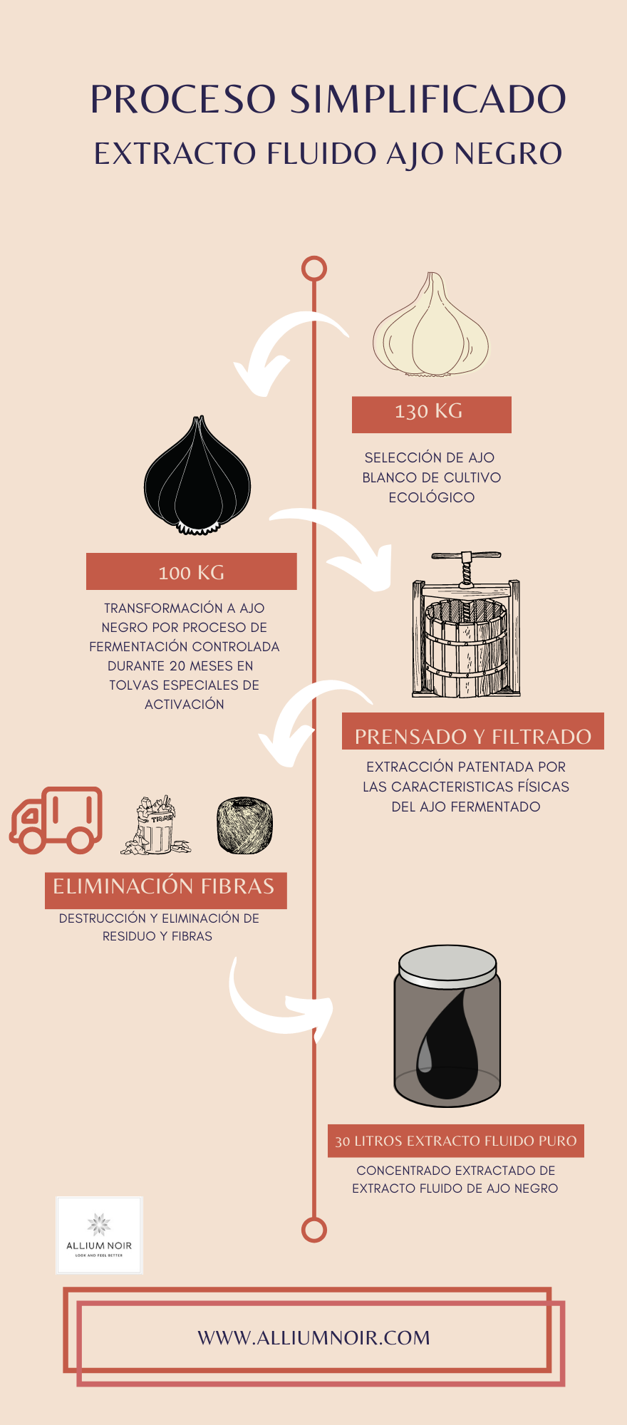 Proceso simplificado de producción de extracto fluido de ajo negro