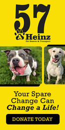 A Heinz 57 digital ad