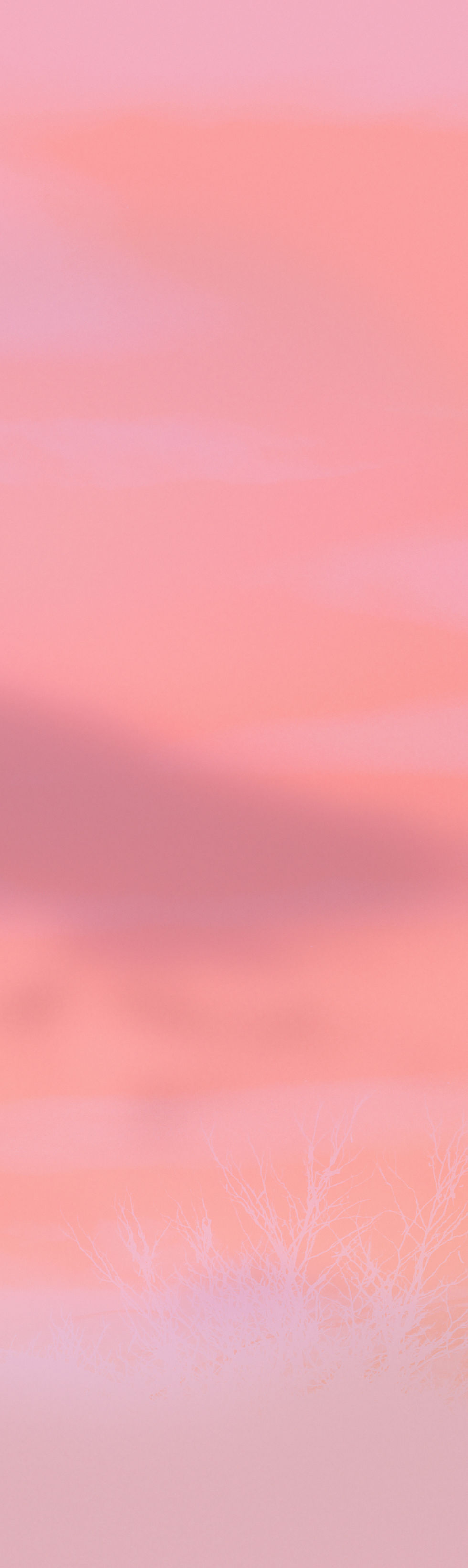 Fundal_AboutYou.jpg