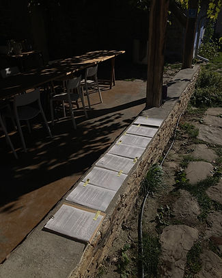 Bucătăria de vară_work-in-progress.jpeg