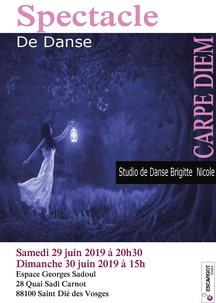 affiche spectacle danse