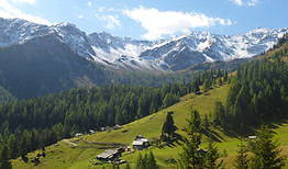 Wallis