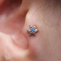 Tragus