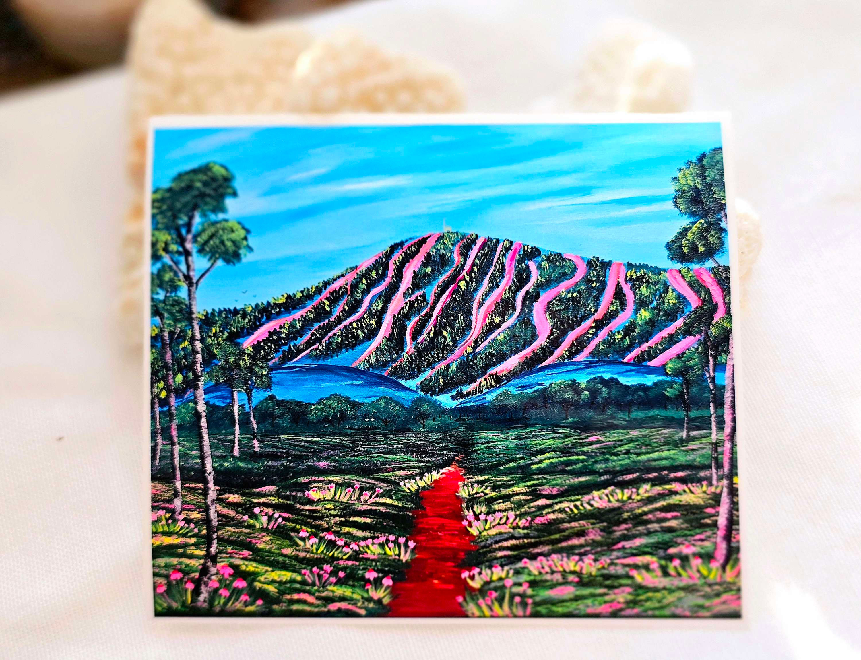 Summertime Sugarloaf 
