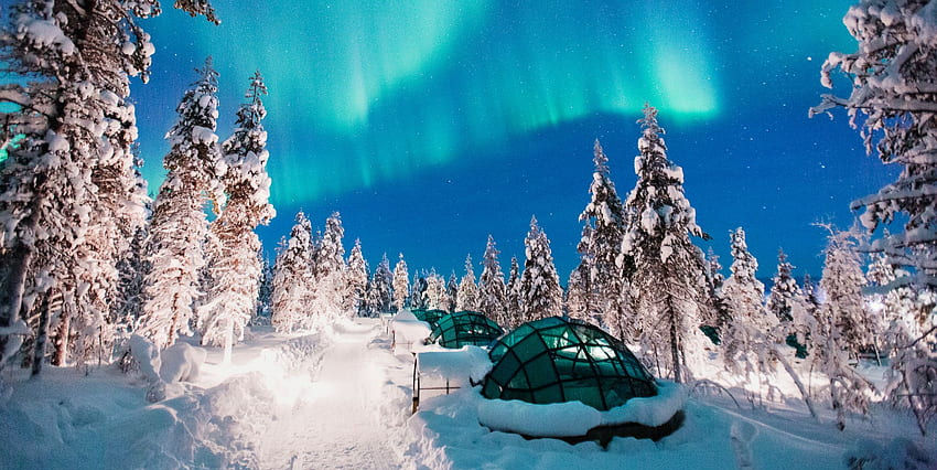 Snow-covered forest with glass igloos under vibrant green aurora borealis in a starry night sky, evoking a serene and magical mood.