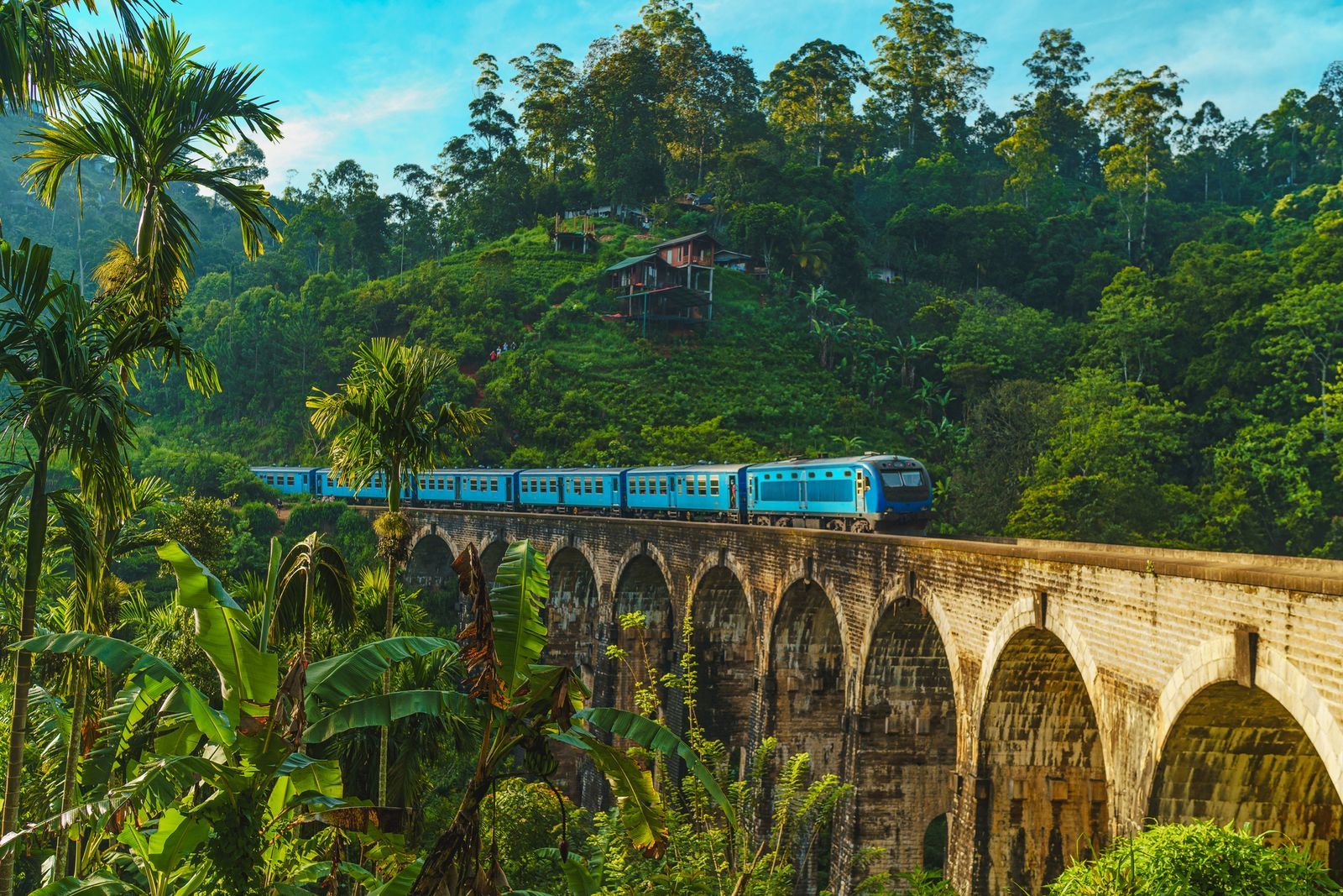 Sri lanka train