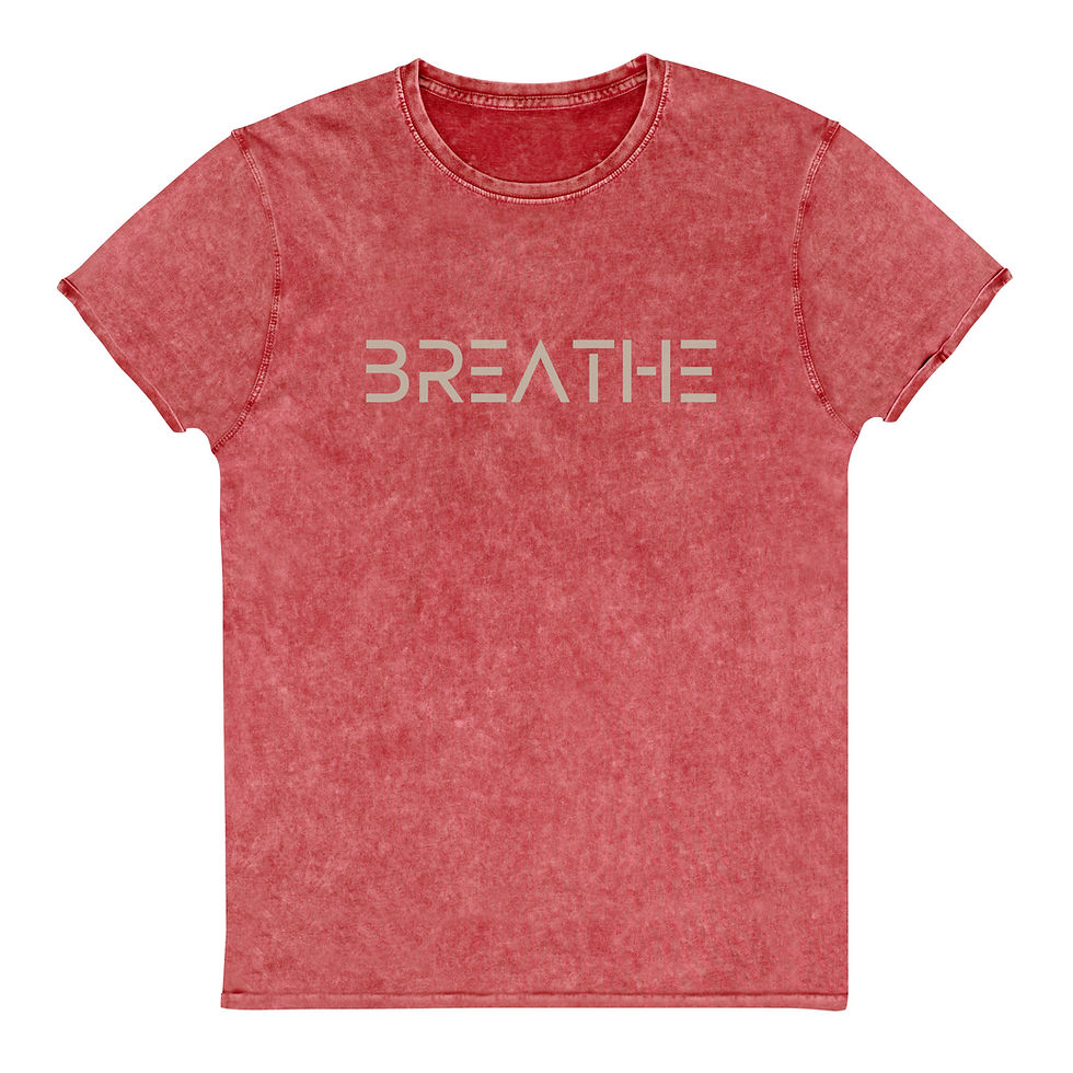 Thumbnail: Denim T-Shirt