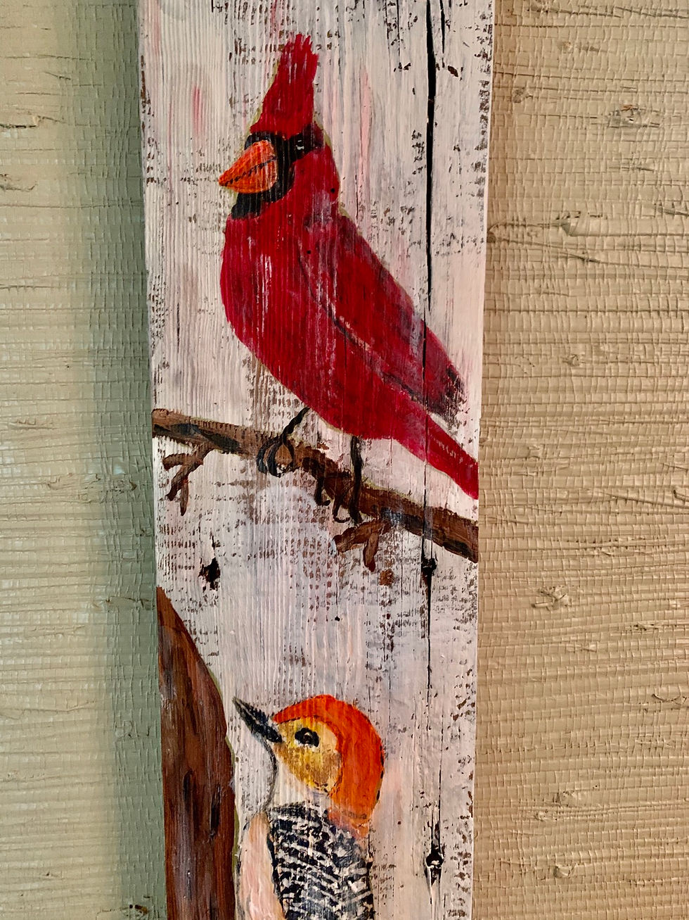 Thumbnail: Favorite birds