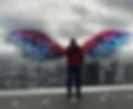 PK Wings.png