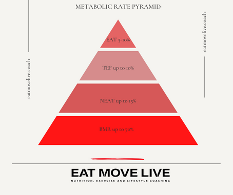 The top 4 ways your metabolism burns calories/energy