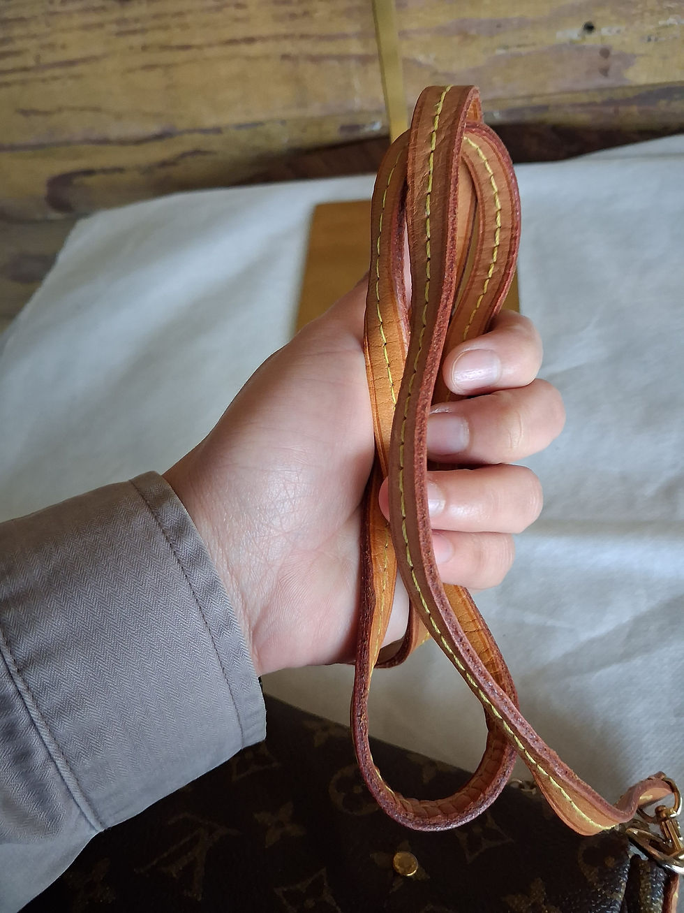 Thumbnail: Louis Vuitton Favorite MM Monogram