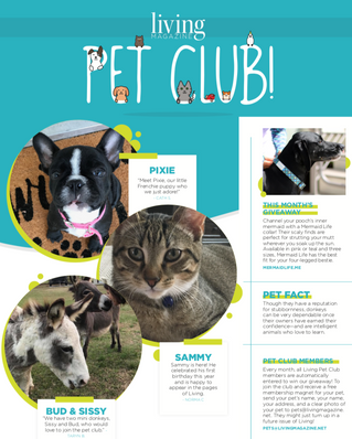 Living Pet Club November