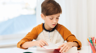 The Book Report