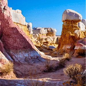 OFF THE BEATEN PATH