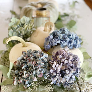 BEYOND BLACK and orange