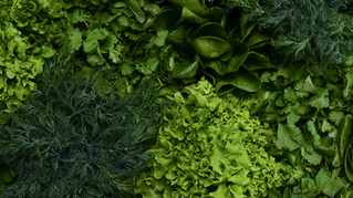 Herb Heaven