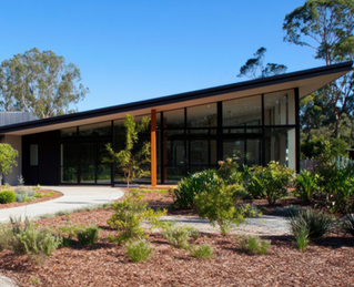 Drought-Savvy Gardening