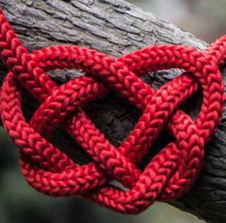 The Science Of Strokes