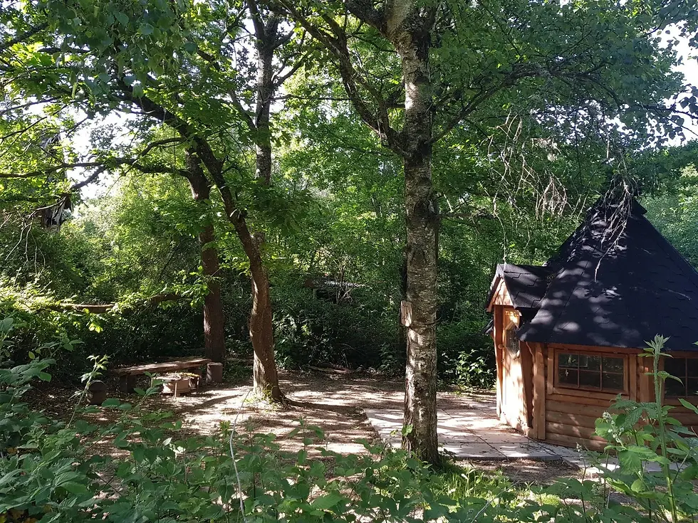Cozy cabin Blackberry Wood