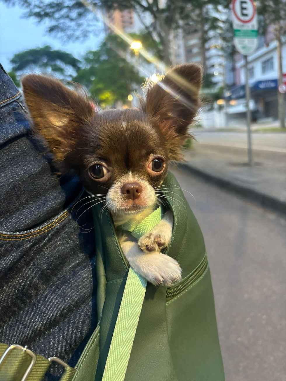 Marvin - Curitiba, PR