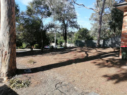 Natural Style Aussie Native Garden Eltham