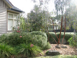 Montmorency Australian Native Garden, Contemporary Modern Australian Native Style, Austechniques