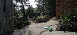 Natural Style Aussie Native Garden Eltham