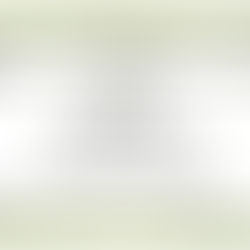 Most Adventurous Wedding Photographer