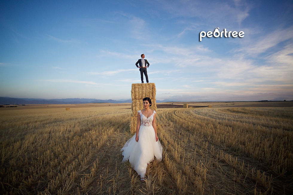 Allesverloren Wedding Riebeeck Valley