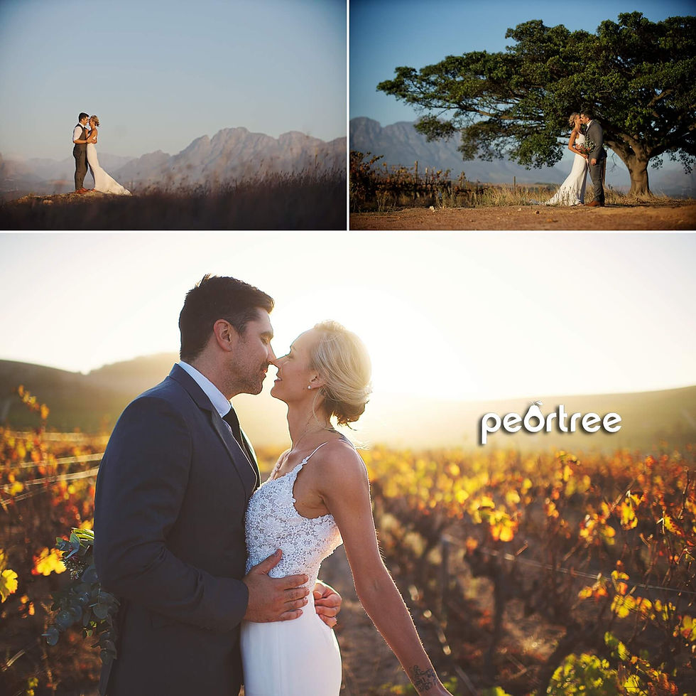 401 Rozendal Wedding Stellenbosch