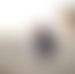 Bloemfontein Wedding Venue Woodlands