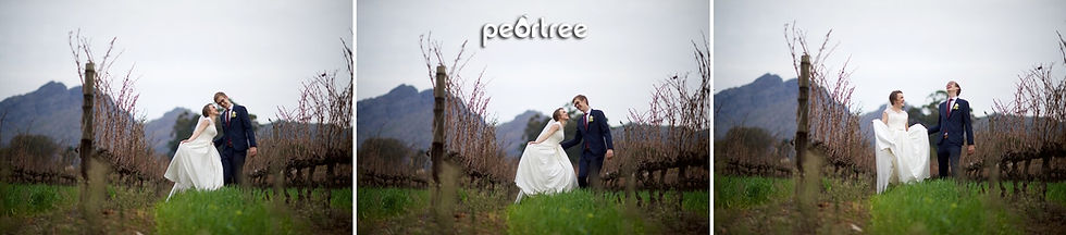 Zorgvliet Wedding