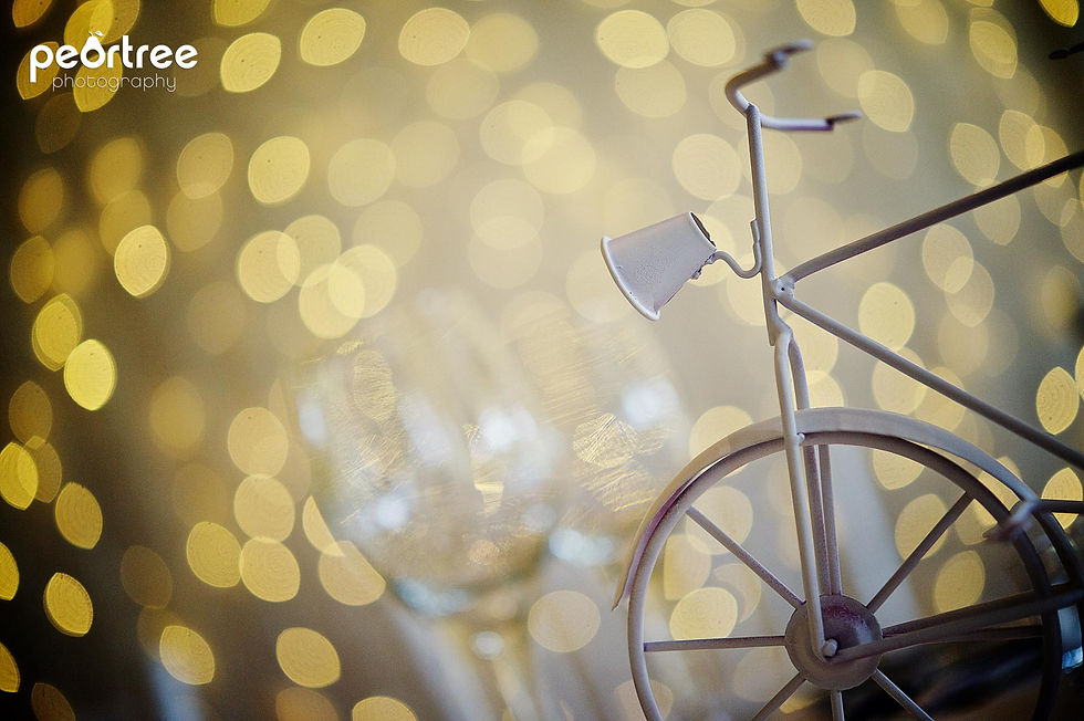 Peartree Photography | 141220 Mark_Felicity | http://peartree.co.za/blog/