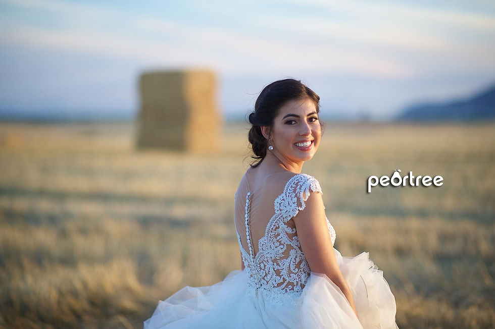 Allesverloren Wedding Riebeeck Valley