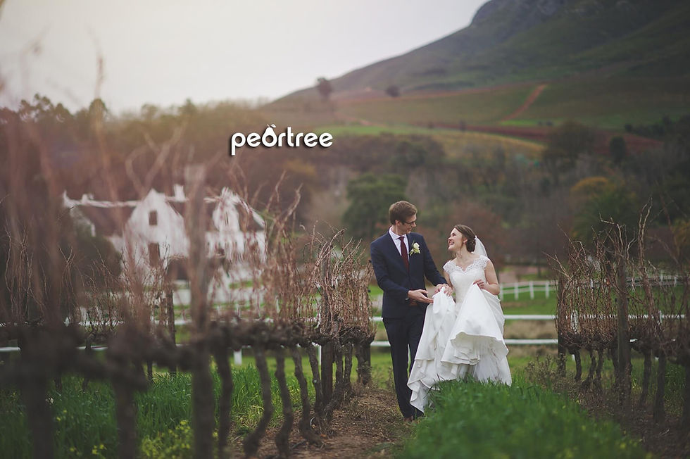 Zorgvliet Wedding