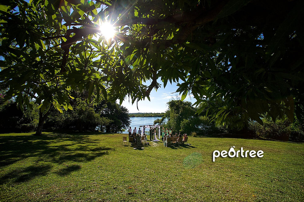 Botswana Destination Wedding